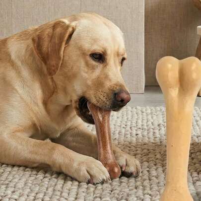 PETSIN 耐咬狗玩具 - 骨头形状互动式咀嚼训练棒，适合所有犬种的咀嚼玩具 - 互动式牙齿棒，坚固的聚乙烯材料