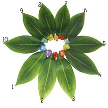 5件套夏威夷风情柔软人造树叶裙套装 - 非常适合服装派对、成人夏威夷主题派对、夏季派对、生日派对和万圣节 - 彩色 - 查看 7