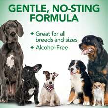 Vet's Best Dog Ear Relief Wash - Alcohol-Free No-Sting Formula - Controls Odors &amp; Itching - Cleans Wax &amp; Debris - 16 Ounces - ColorB - Ver 1