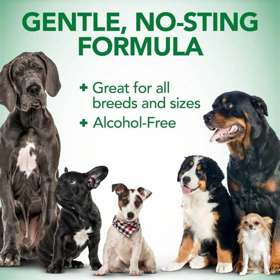 Vet's Best Dog Ear Relief Wash - Alcohol-Free No-Sting Formula - Controls Odors &amp; Itching - Cleans Wax &amp; Debris - 16 Ounces - ColorB - Ver 1