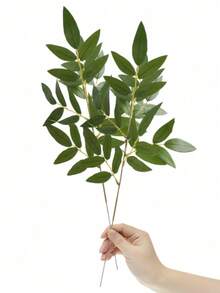 4 chiếc màu xanh đậm