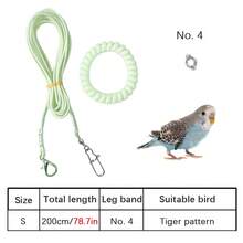 Dây huấn luyện siêu nhẹ cho chim đi dạo, dây xích đàn hồi cho vẹt, vòng đeo chân da hổ hoa mẫu đơn cho vẹt đuôi dài, dây xích chân để huấn luyện bay cho chim trong nhà và ngoài trời, dây xích thả chim trong nhà và ngoài trời. - Nhiều màu - Xem 15