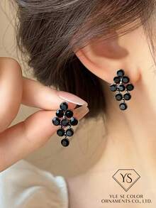 2pcs New Elegant Luxury Black Crystal Stud Earrings, Fashionable Unique Design Shiny Grape Pendant Earrings For Women - Black - View 5