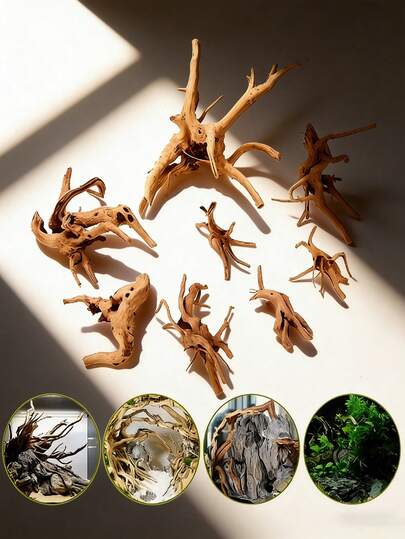 4pcs Natural Driftwood, Rhododendron Wood, Suitable For: Reptile, Aquarium Pet Habitat, Aquarium Decor - Random Shapes Shipped, Shapes May Vary, Please Order Carefully