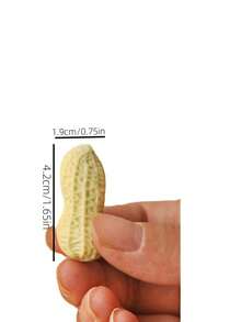1/ 4/12 Pieces Of Realistic Peanut-Shaped Erasers. Creative And Fun Stationery. Cute Student Prizes. Weird And Unique Erasers. No Crumbs Left Behind. - Round - View 3