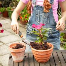 Premium Coconut Fiber Bricks, Plant-Specific Coconut Coir, Low PH And Low EC Value Coconut Fiber Substrate, Suitable For Indoor And Outdoor Gardening And Potted Plant Soil Preparation. - 2 cái - Xem 3