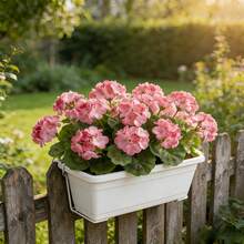 2 Stück künstliche rosa Begonienblumen, geeignet für Zuhause, Hochzeit und Tischdekoration, ideal für Feierlichkeiten und DIY Blumenarrangements, lebensecht und natürlich - Pink - Übersicht 7