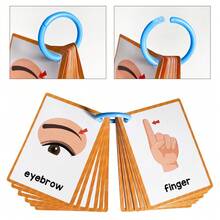 Lachilly 15 Cards Body Parts Cognitive Flash Cards Children Education Enlightenment English Learning Card Montessori Toys - Multicolor - View 10