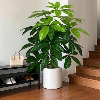 Artificial Money Tree - Realistic Fake Plant For Indoor/Outdoor Desk, Table, Shelf, Balcony - Low Maintenance Green Leaves Home Garden Decor (Container Not Included)