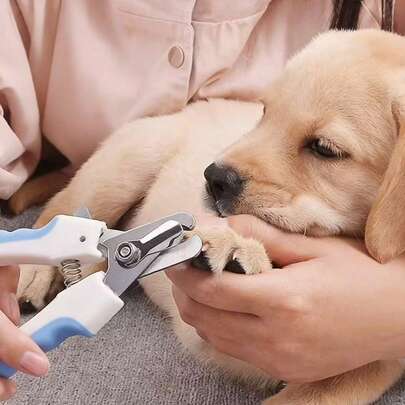 宠物指甲钳 - 专业犬猫指甲修剪器。适合初学者。适用于修剪幼猫、幼犬、成年猫狗的指甲。宠物美容用品。适用于所有宠物，包括犬猫。