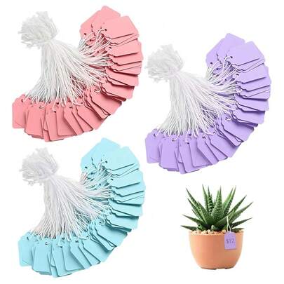 Tags With String - 300pcs Colored Blank Hanging Labels 2.2x3.5cm Small  Labels For All Occasions Pricing MarFKing