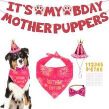 Set de pañuelo, sombrero de fiesta con números, pancarta de cumpleaños y corbatín para perros grandes, decoraciones de fiesta de color rosa - Grande - Ver 7