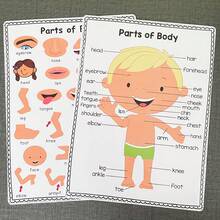 2 Pcs Body Parts Posters Kid Learning Cognition Card ,Preschool Posters Wall Charts Classroom Decorations Children's Room Wall Decor Decor A4 Educational Posters - Multicolor - View 5