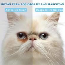 PEOWND solución limpiadora de Ojos y lagaas para Perros y Gatos - Blanco - Ver 3