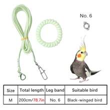 Dây huấn luyện siêu nhẹ cho chim đi dạo, dây xích đàn hồi cho vẹt, vòng đeo chân da hổ hoa mẫu đơn cho vẹt đuôi dài, dây xích chân để huấn luyện bay cho chim trong nhà và ngoài trời, dây xích thả chim trong nhà và ngoài trời. - Nhiều màu - Xem 13