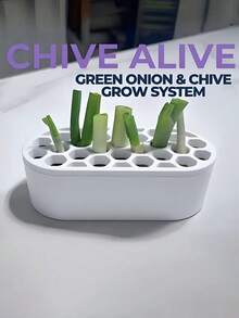 1 Set Scallion Regrowth Kit - No Skills Needed, Easy Home Scallion Planting | Suitable For Balcony, Windowsill & Small Spaces Compact System | Fast Scallion Regrowth - A - View 1