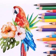 1 set de 24 colores de lápices de colores a base de aceite, suministros de dibujo y pintura para estudiantes - Juego de lápices de colores - Ver 10