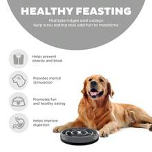 Slow Fun Feeder Bowl, Slow Feeder Dog Bowl, Gray, Large - 1 - Xem 4