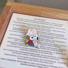 SNOOPY 2026新款金属胸针，经典“花生漫画”卡通周边，可爱玩偶趣味金属徽章！日系清新风格，精致耐用设计，男女老少皆宜，学生日常佩戴也十分合适。不仅别在包包、衣服和背包上好看，而且做工精良，佩戴方便，独特优雅。 - 彩色 - 查看 5