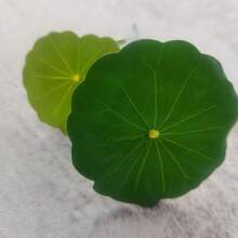 1件/3件特大號鬥魚葉子吊床，超寬魚缸植物裝飾與休息床，水族箱裝飾人造葉片，改善鬥魚健康－自然、有機、舒適的魚缸休息區 - B - 查看 9