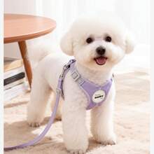 1件装 X型宠物牵引胸背带，反光防逃脱设计，适合小型/中型犬猫，宠物遛狗用品 - 彩色 - 查看 7