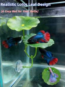 1件/3件特大號鬥魚葉子吊床，超寬魚缸植物裝飾與休息床，水族箱裝飾人造葉片，改善鬥魚健康－自然、有機、舒適的魚缸休息區 - B - 查看 2