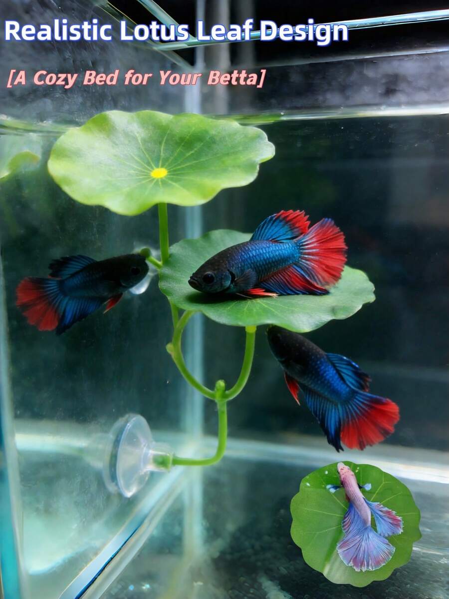 1件/3件特大號鬥魚葉子吊床，超寬魚缸植物裝飾與休息床，水族箱裝飾人造葉片，改善鬥魚健康－自然、有機、舒適的魚缸休息區