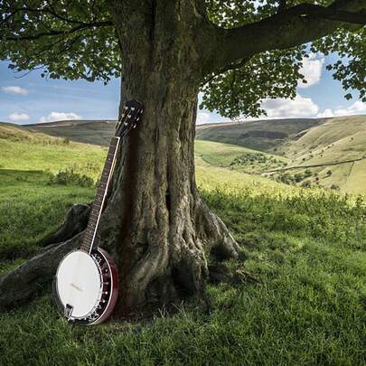Six-String Sapele Banjo
