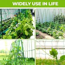 1 Pack Green Plant Climbing Trellis Net, Garden Support - 1 Pack - View 5