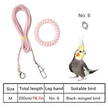 Dây huấn luyện siêu nhẹ cho chim đi dạo, dây xích đàn hồi cho vẹt, vòng đeo chân da hổ hoa mẫu đơn cho vẹt đuôi dài, dây xích chân để huấn luyện bay cho chim trong nhà và ngoài trời, dây xích thả chim trong nhà và ngoài trời. - Nhiều màu - Xem 10