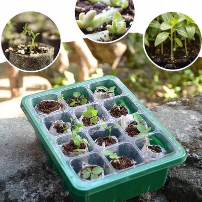 6 st plantbricka med lock och bas, justerbar luftfuktighet, lättviktigt odlingskit i plast, lämplig för växthus och trädgårdar, kan användas inomhus/utomhus, ingen el krävs, klassisk design, trädgårdsodling | Inkluderar värmeisolerande och fuktbevarande lock för att förbättra groningshastigheten och främja kraftig planttillväxt, oberoende basdesign förhindrar jordläckage och vattenansamling, vilket gör underhållet renare.