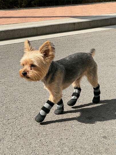 防滑鞋底狗狗靴 - 冬季爪子保护，适合小型至中型犬的套穿式宠物鞋，柔软缓冲鞋垫 - 适合散步、看兽医、雪地活动 - 适用于泰迪金毛寻回犬及所有犬种（易于穿脱），御寒装备，户外狗狗用品