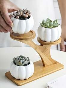 1pc Multi-Tier Succulent Plant Stand, Thickened Desktop Organizer Rack For Living Room, Office, Balcony, Green Plant Display Holder - Multicolor - View 1