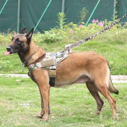 1pc Anti-Pulling Breathable Dog Chest Harness, Adjustable Pet Chest Strap With Handle, Suitable For Medium To Large Dogs Outdoor Walking Training