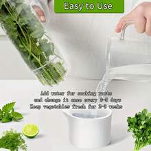 YUHUPHYLLIC Large Refrigerated Herb Storage Box, Refrigerated Coriander Storage Box, Herb Storage Box, Coriander Storage Box, Parsley, Asparagus, Mint Storage Box, Green Vegetable Storage Box For 2-3 Weeks, Refrigerator Storage Box, Refrigerator Kitchen Supplies - 草本保鮮盒 - 查看 2