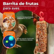 Fancy Pets RedKite Barrita de Frutas para Aves Canoras y de Ornato Snack Nutritivo 1 Pza - Blanco - Ver 1