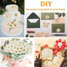 50/100/500 件渐变橙色迷你雏菊花头，逼真的人造花，适用于婚礼派对家居装饰、发夹和头饰 DIY 配饰礼物生日毕业、秋季装饰、秋季 - 白色 - 查看 6