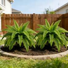2pcs 29.72 Inch Realistic Large Tropical Boston Fern, With Vibrant Green Leaves, Made Of Durable Plastic, Suitable For Indoor And Outdoor Decor, Great For Christmas, Thanksgiving, Mother's Day, Graduation Ceremony And More - Green - View 3