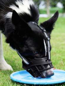 耐用型犬用嘴套，有效阻止吠叫和乱吃垃圾 - 适用于中大型犬 - 防咬、防骚扰、防打扰 - 价格实惠，材质优良，多种尺寸可选 - 宠物嘴套保护 - 黑色 - 查看 2