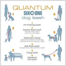 Kurgo 6 in 1 Quantum Leash, Hands Free Leash for Dogs, Running Belt Lead, Crossbody &amp; Waist Belt Style, Reflective, Carabiner Clip, for Training, Hiking, or Jogging, 4 Colors - ColorI - Ver 8