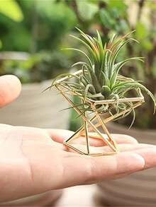 1pc Geometric Air Plant Stand, Metal Plant Holder, Planter Pot Decor - 1PC - View 1