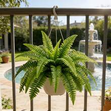 2pcs 29.72 Inch Realistic Large Tropical Boston Fern, With Vibrant Green Leaves, Made Of Durable Plastic, Suitable For Indoor And Outdoor Decor, Great For Christmas, Thanksgiving, Mother's Day, Graduation Ceremony And More - Green - View 8