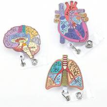 3件套解剖器官护士证件夹，闪光可伸缩夹子，适用于护士、医疗保健、护理学校学生，解剖手术心脏、大脑、肺等必备配件 - 3 件套 - 查看 5