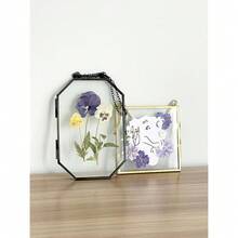 Double Glass Frame For Pressed Flowers,  Photo And Artwork,Hanging Pressed Flower Frames,Wall Decor Clear Floating Frame Display For  Art And Memento (Gold, 4x4) - Gold4x4 - View 4