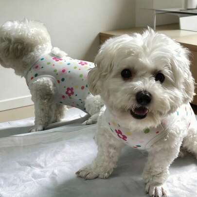 Cat Spay/Neuter Suit, Nursing Outfit With Straps, Cat Anti-Licking Clothes, Dog Spay/Neuter Surgery Suit, Dog Belly Wrap, Dog Pajamas, Small Dog Vest, Poodle/Teddy Bear Post-Op Protective Wear