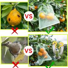50/100pcs Fruit Protection Bags, Small Mesh Drawstring Net Bags Suitable For Grapes, Mangoes, Fruit Trees, And Various Fruits, Vegetables - Garden Plant Pest Protection Cover - 50PCS - View 4