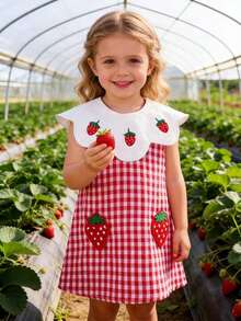 Baby Girl Summer Dress, Red & White Plaid, Strawberry Embroidery, Ruffle Collar, Sweet & Cute Outfit - Red - View 2