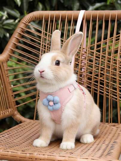 1pc Adjustable Bow Tie Rabbit Leash, Cute Bear Ear Rabbit Harness Leash, Suitable For Small Pets And Rabbits, Small Animal Collar And Leash, Harness Style Leash With Leash, Adjustable Leash