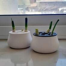 一套大蒜和韭菜水培再生套装，家用园艺黑白盖套装，易于识别和重复使用。无土种植盒，操作简单，持续收获。四季皆宜的可重复种植大蒜盆栽。 - A - 查看 8