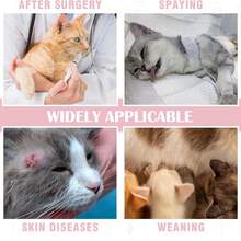 PETCHIC Soft Thin Cat Spay/Neuter Surgery Suit, Breathable Cat Recovery Suit, Anti-Licking E-Collar Alternative & Skin Disease Vest (Pink Alpaca) - Watermelon Pink - View 7